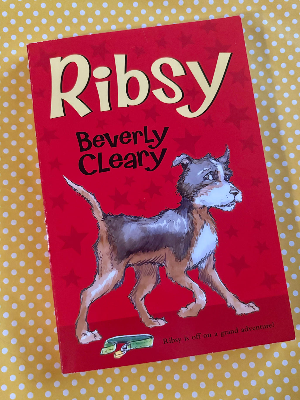 Ribsy- By Beverly Cleary