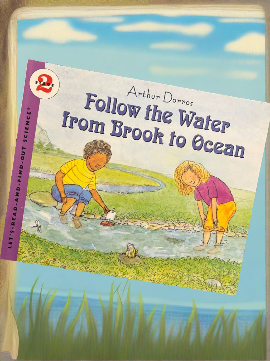 Follow the Water from Brook to Ocean- By Arthur Dorros