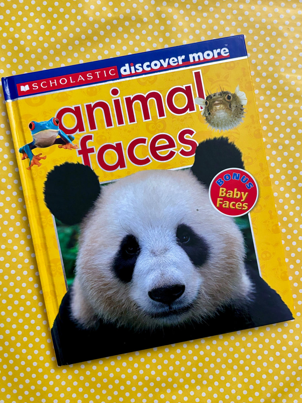 Animal Faces- By Scholastic Books
