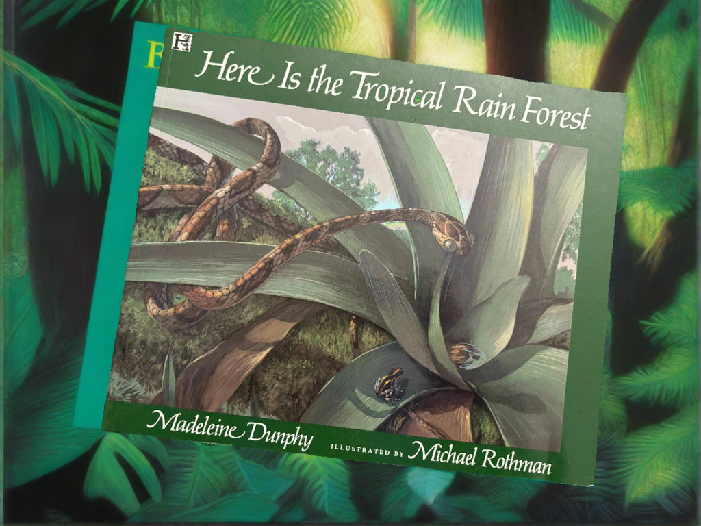 Here is the Tropical Rainforest- By Madeleine Dunphy