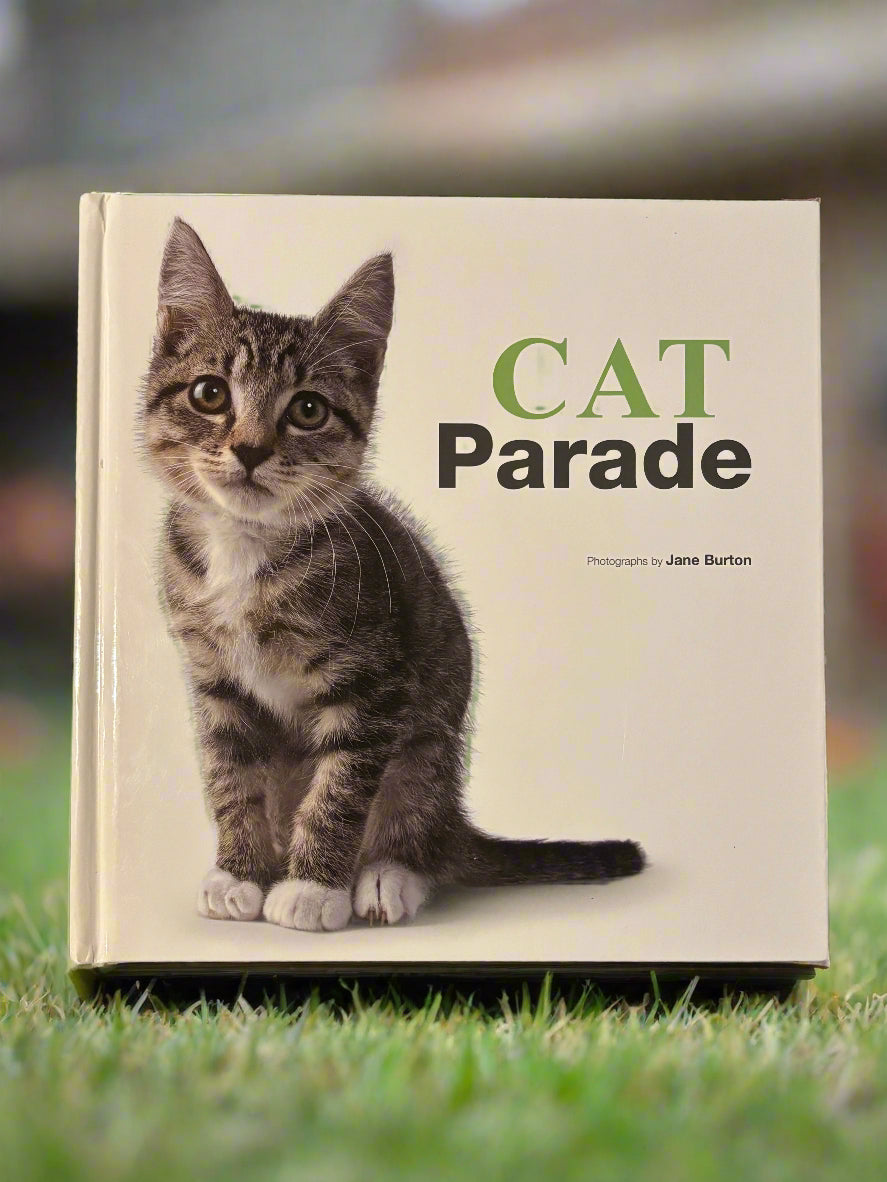 Cat Parade- By Jane Burton