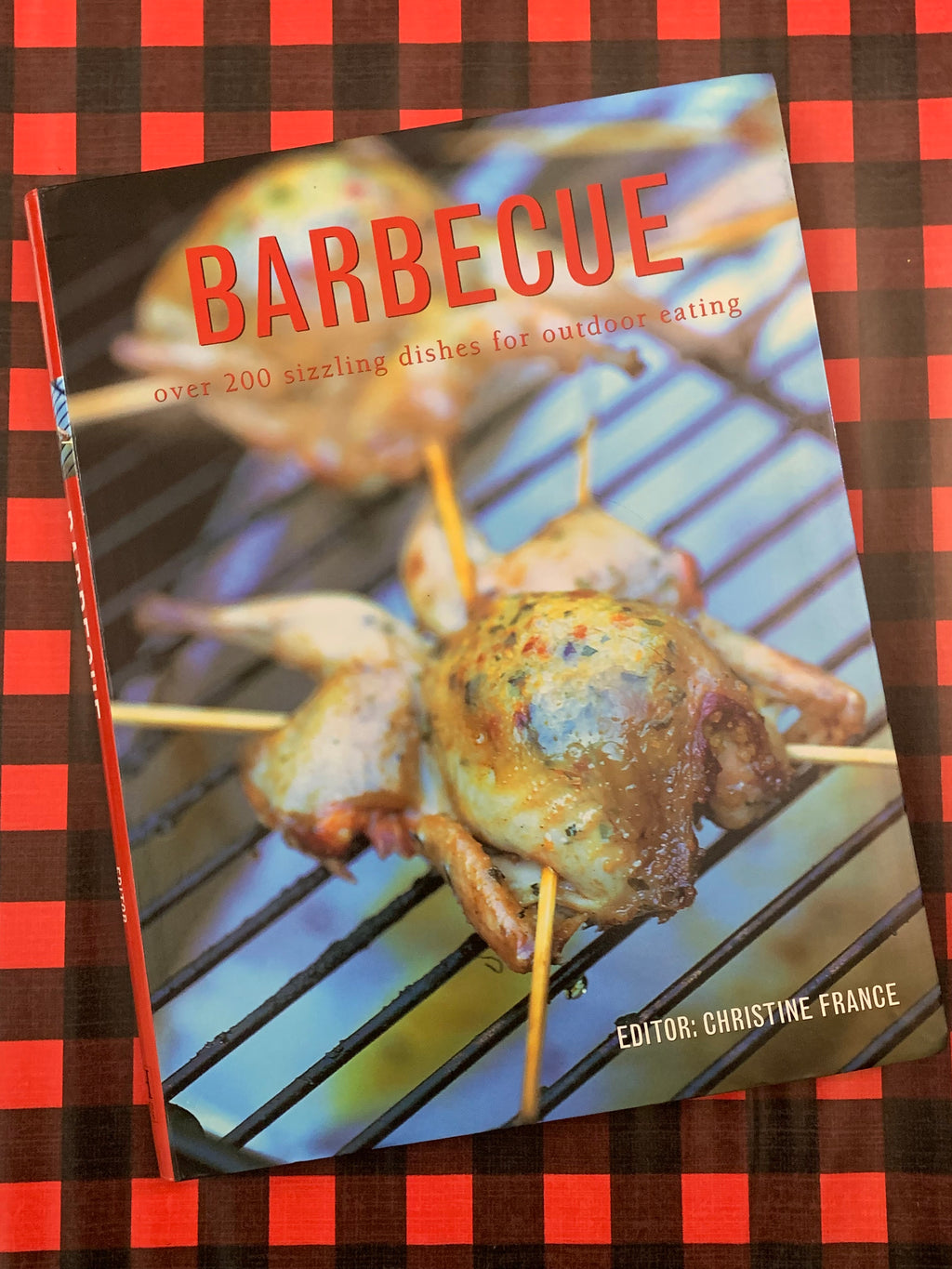 Barbecue: over 200 sizzling dishes for outdoor eating- By Christine France