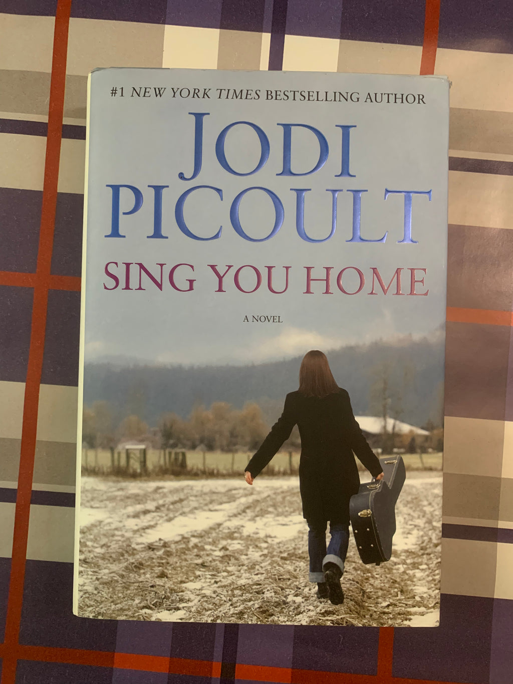 Sing You Home- By Jodi Picoult