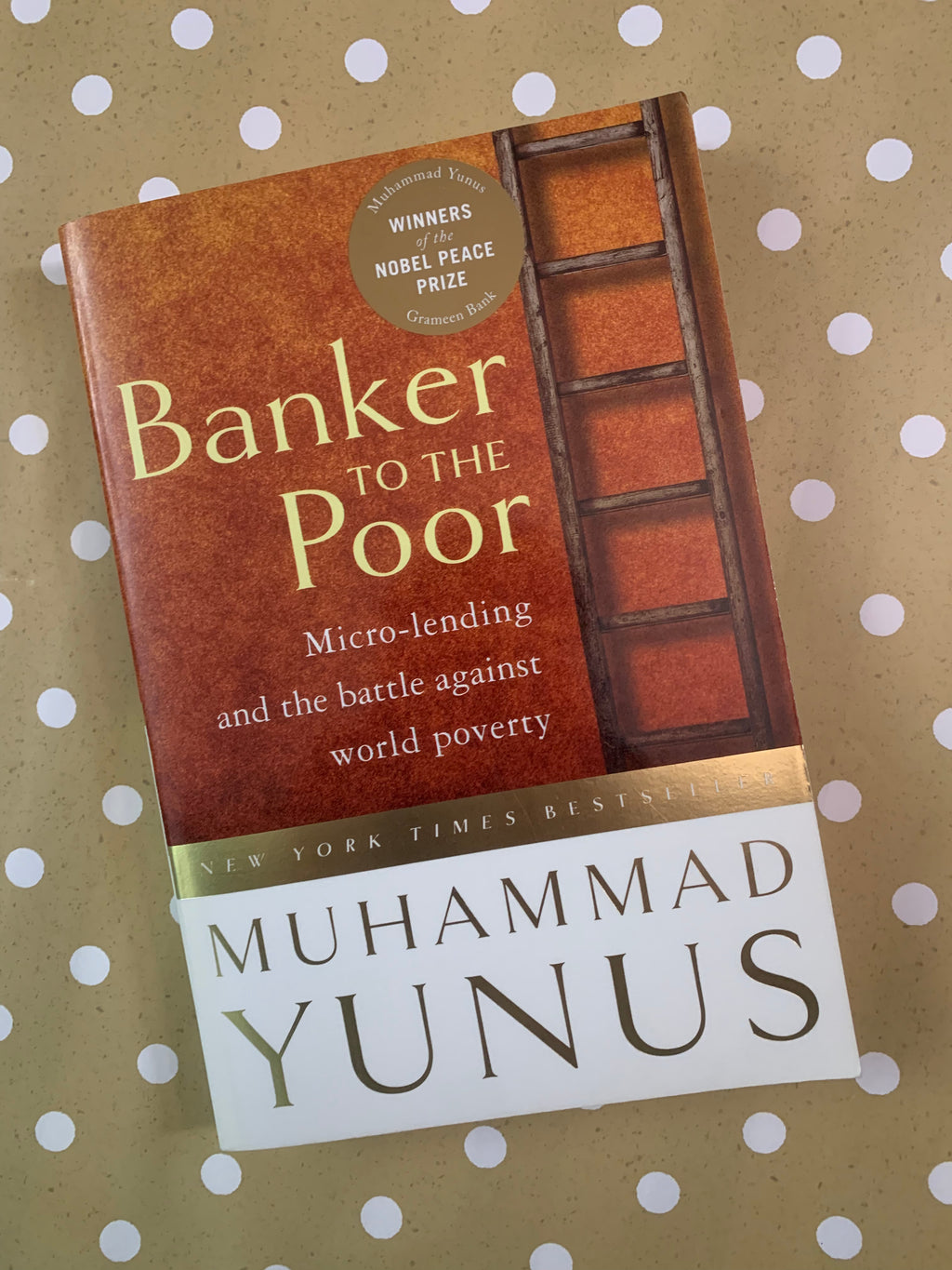 Banker to the Poor: Micro-lending and the battle against world poverty- By Muhammad Yunus