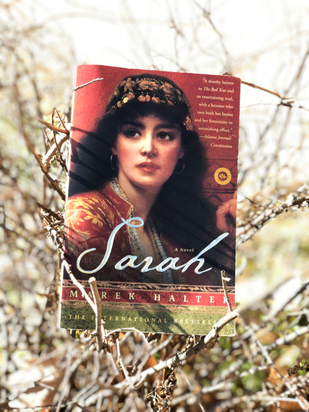 Sarah- By Marek Halter