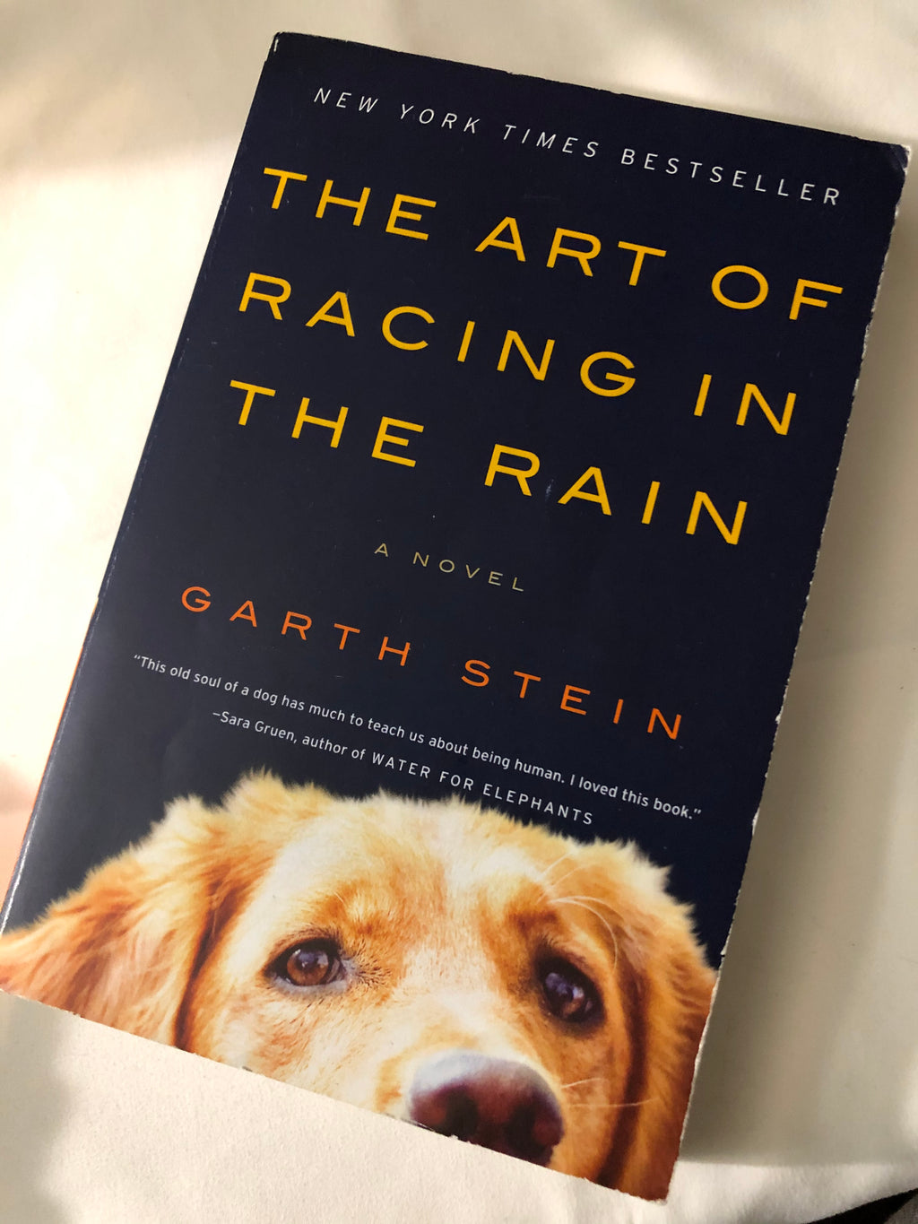 The Art of Racing in the Rain- by Garth Stein