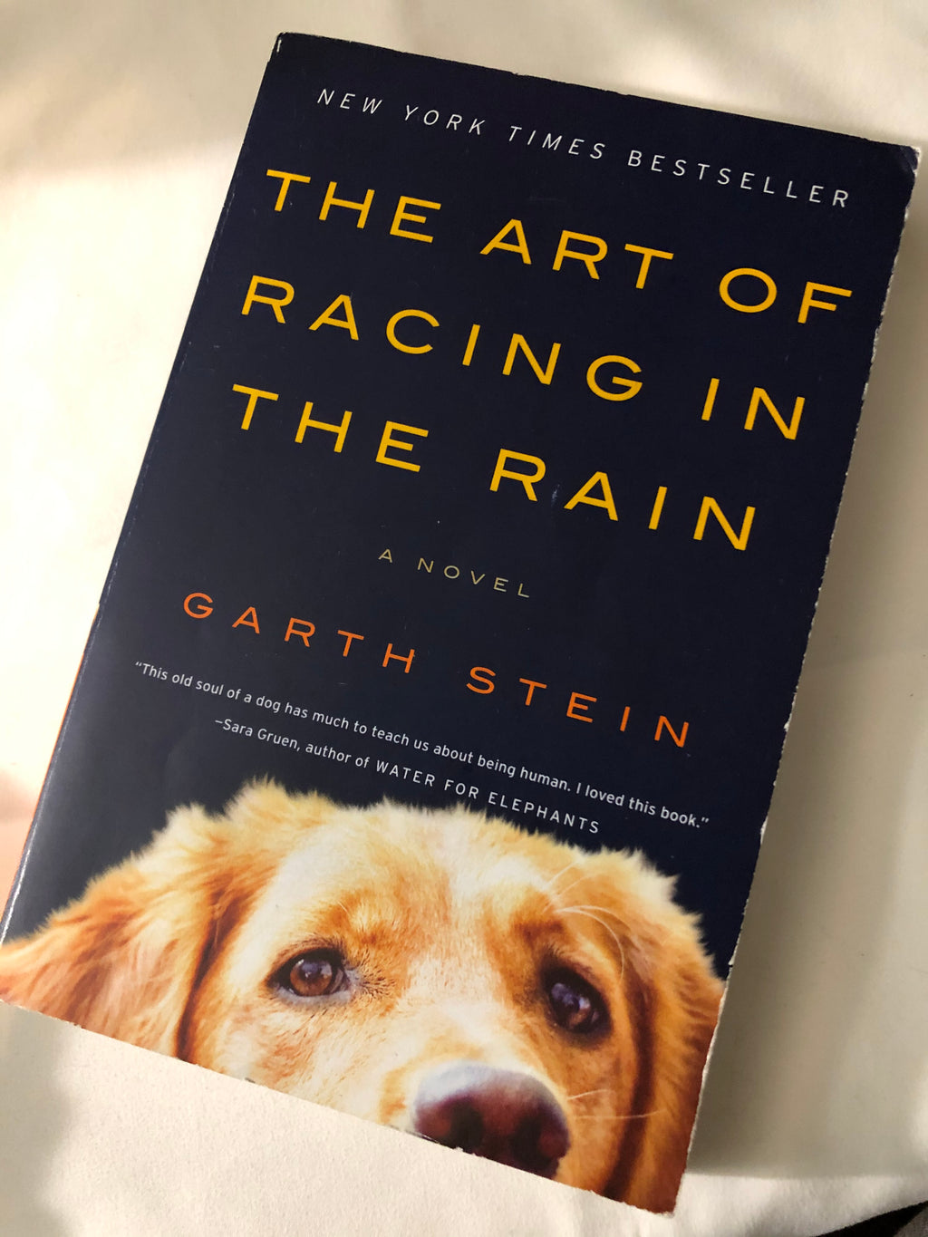 The Art of Racing in the Rain- By Garth Stein