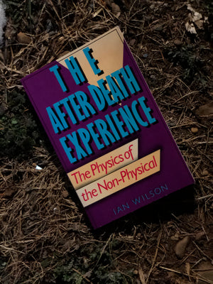 The After Death Experience- by Ian Wilson