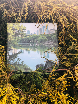 Seeing Central Park by Sara Cedar Miller