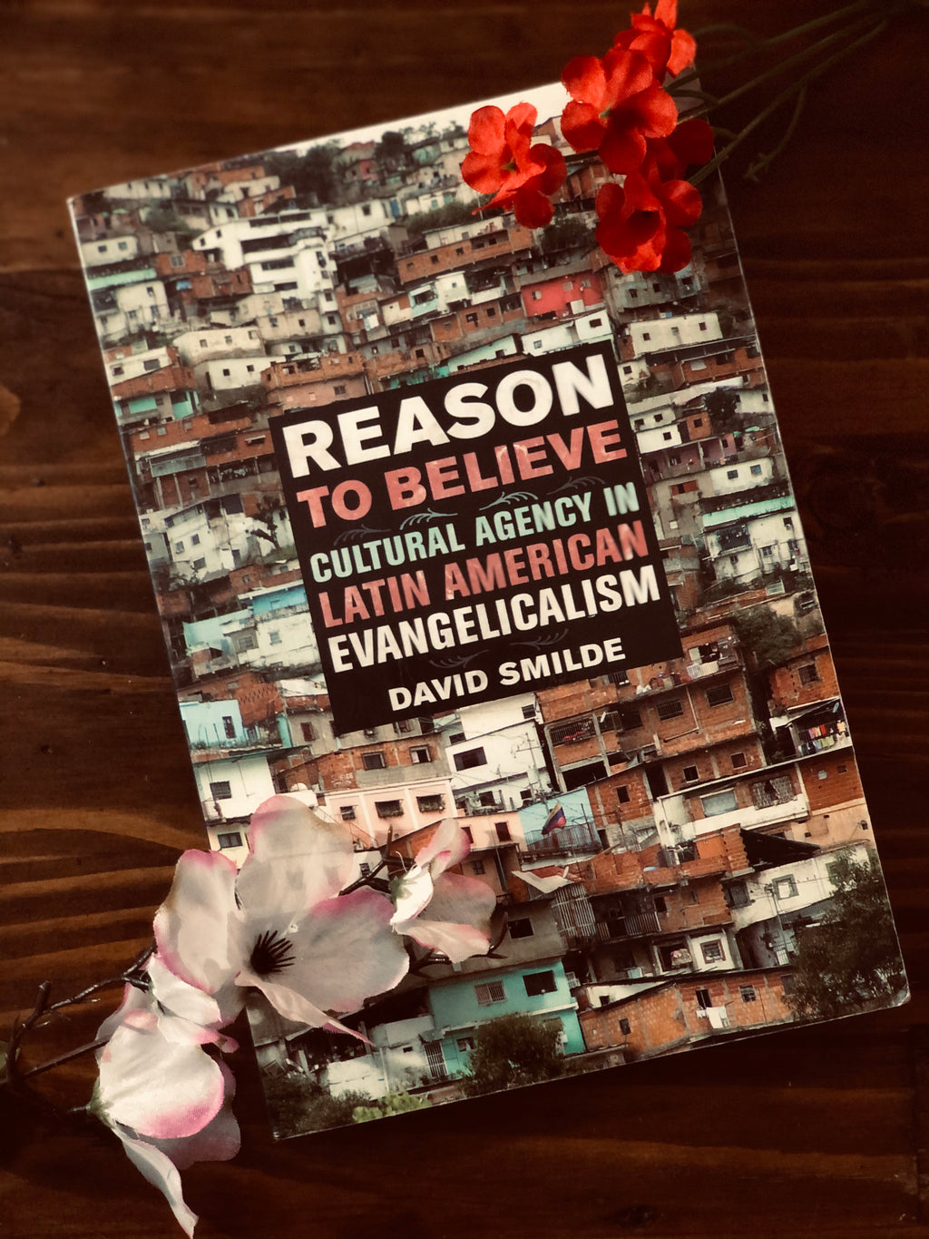 Reason To Believe Cultural Agency in Latin America Evangelicalism- By David Smilde