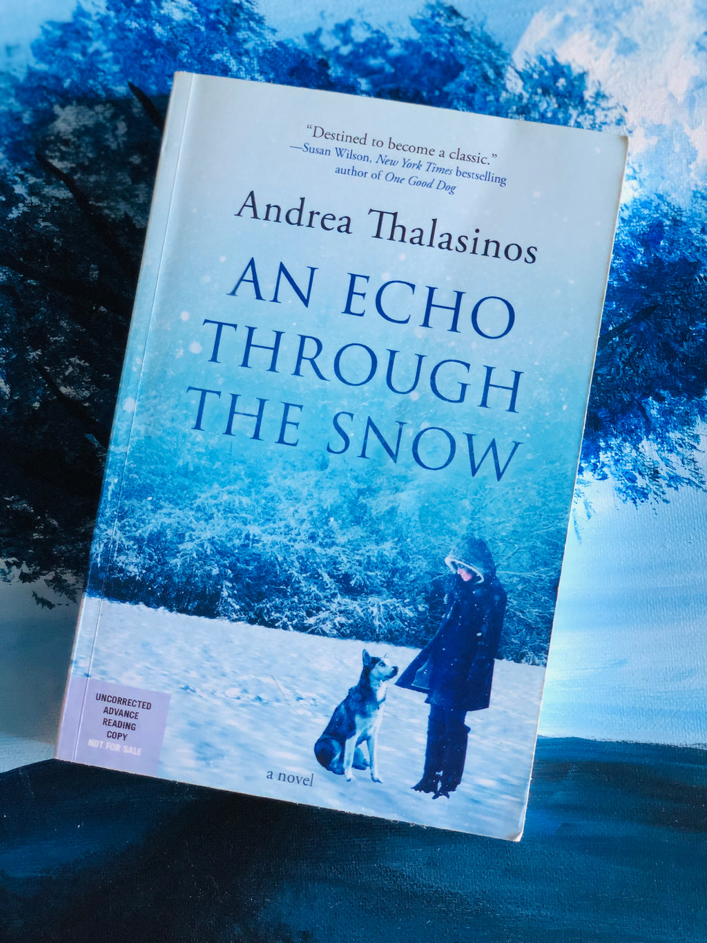 An Echo Through The Snow- By Andrea Thalasinos