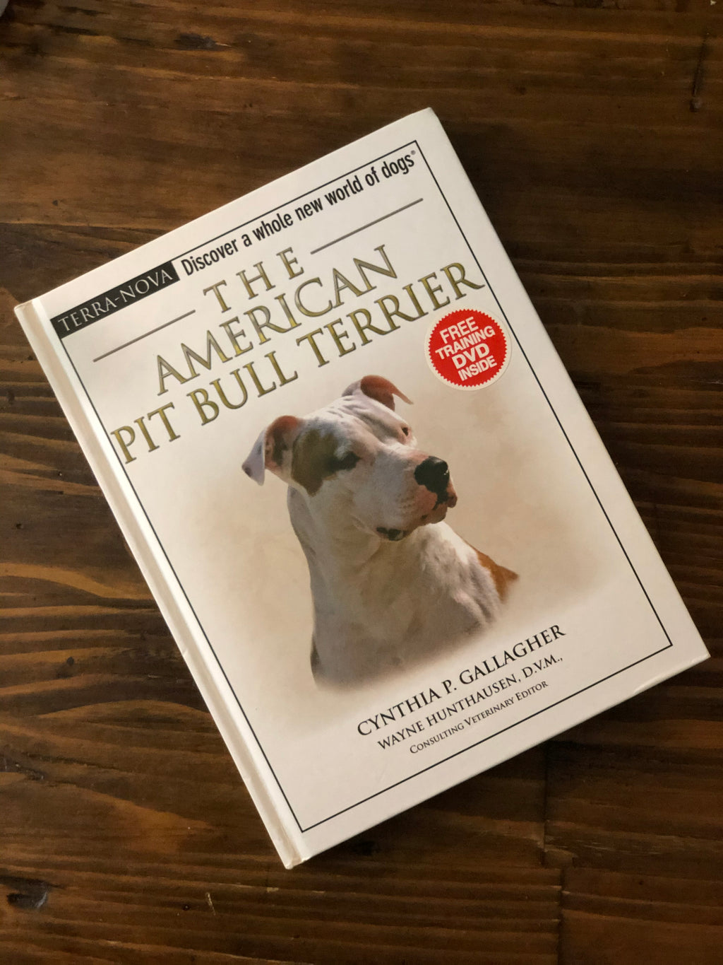 The American Pit Bull Terrier- By Cynthia P. Gallagher