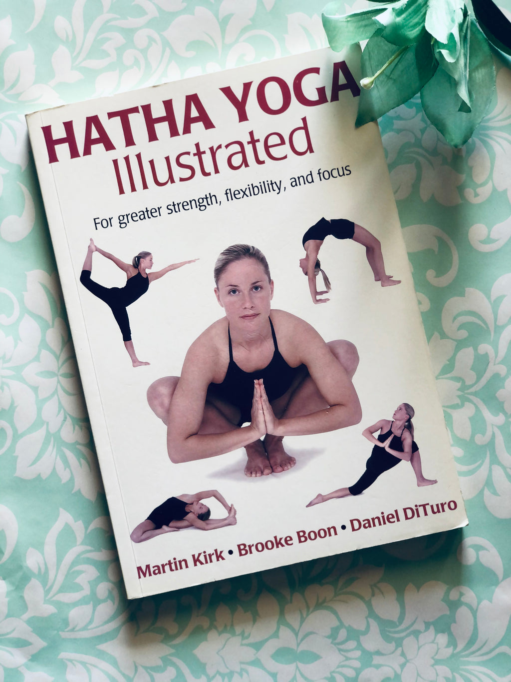 Hatha Yoga Illustrated- By Martin Kirk, Brooke Boon and Daniel DiTuro