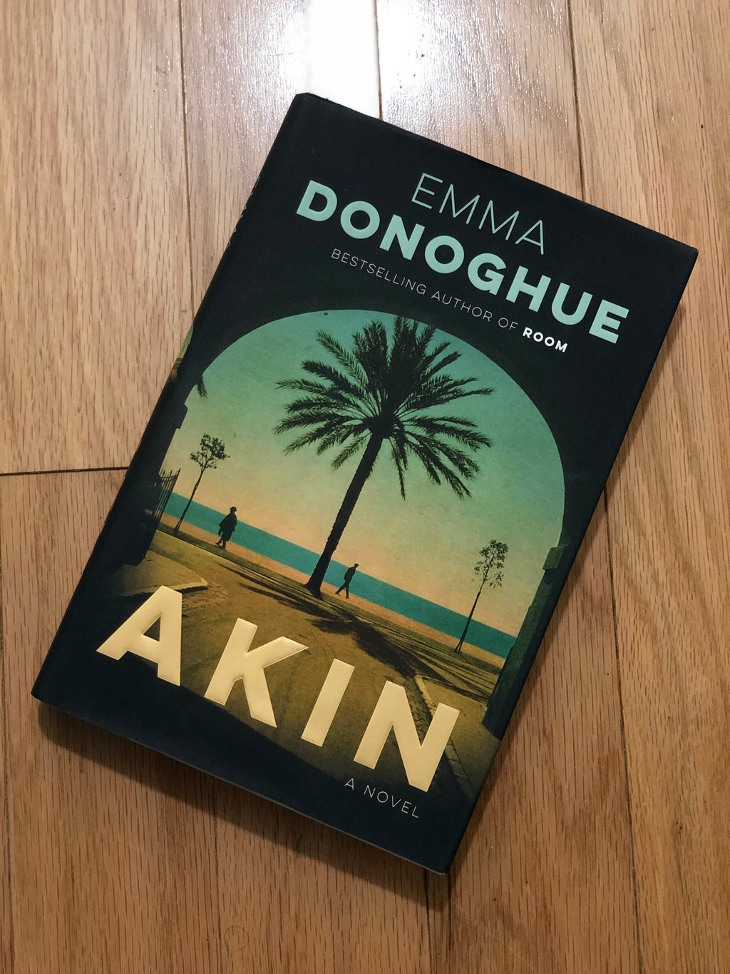 Akin- By Emma Donoghue