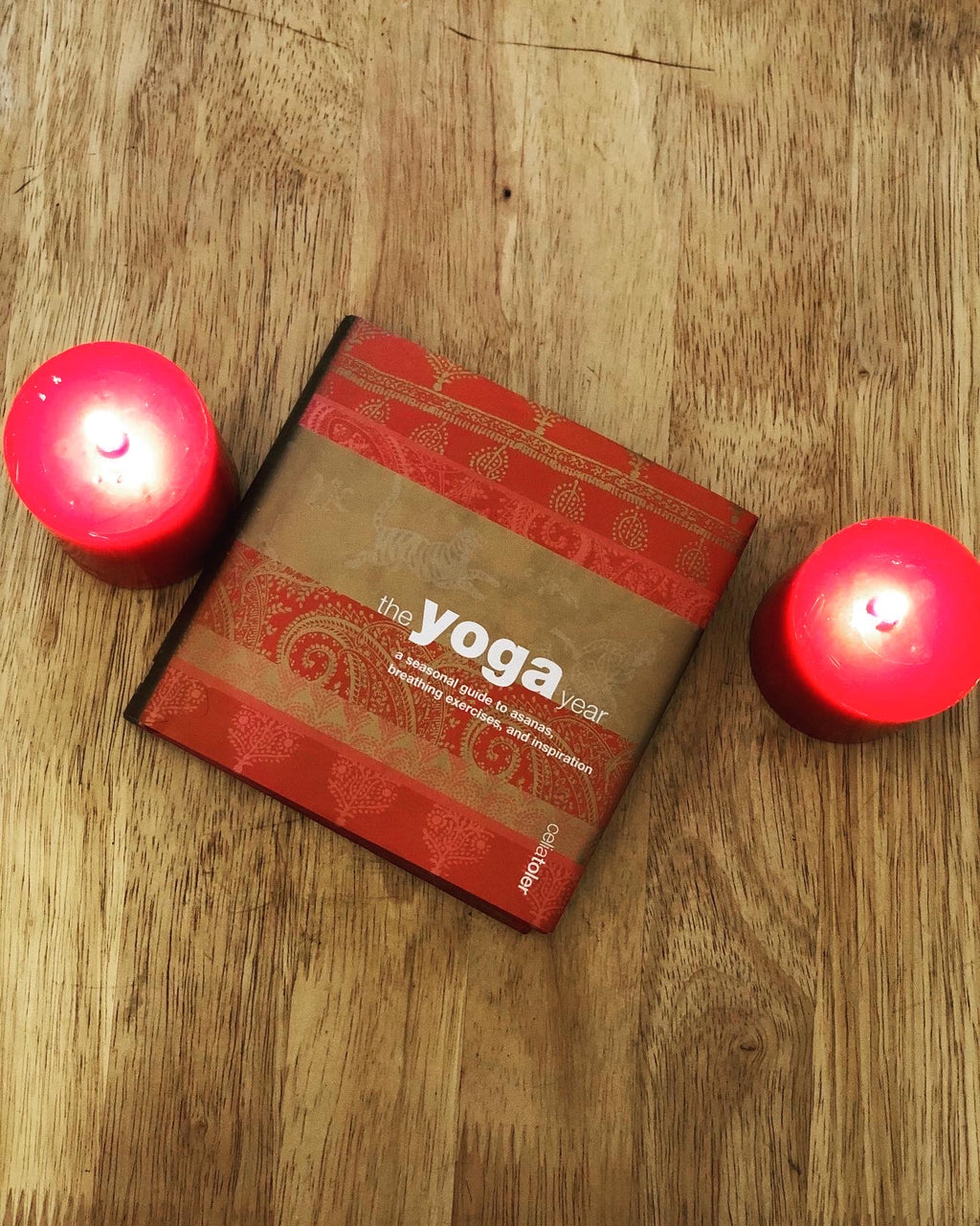 The Yoga Year- By Celia Toler