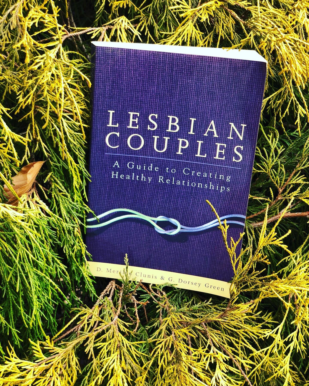 Lesbian Couples- By D. Merilee Clunis & G. Dorsey Green