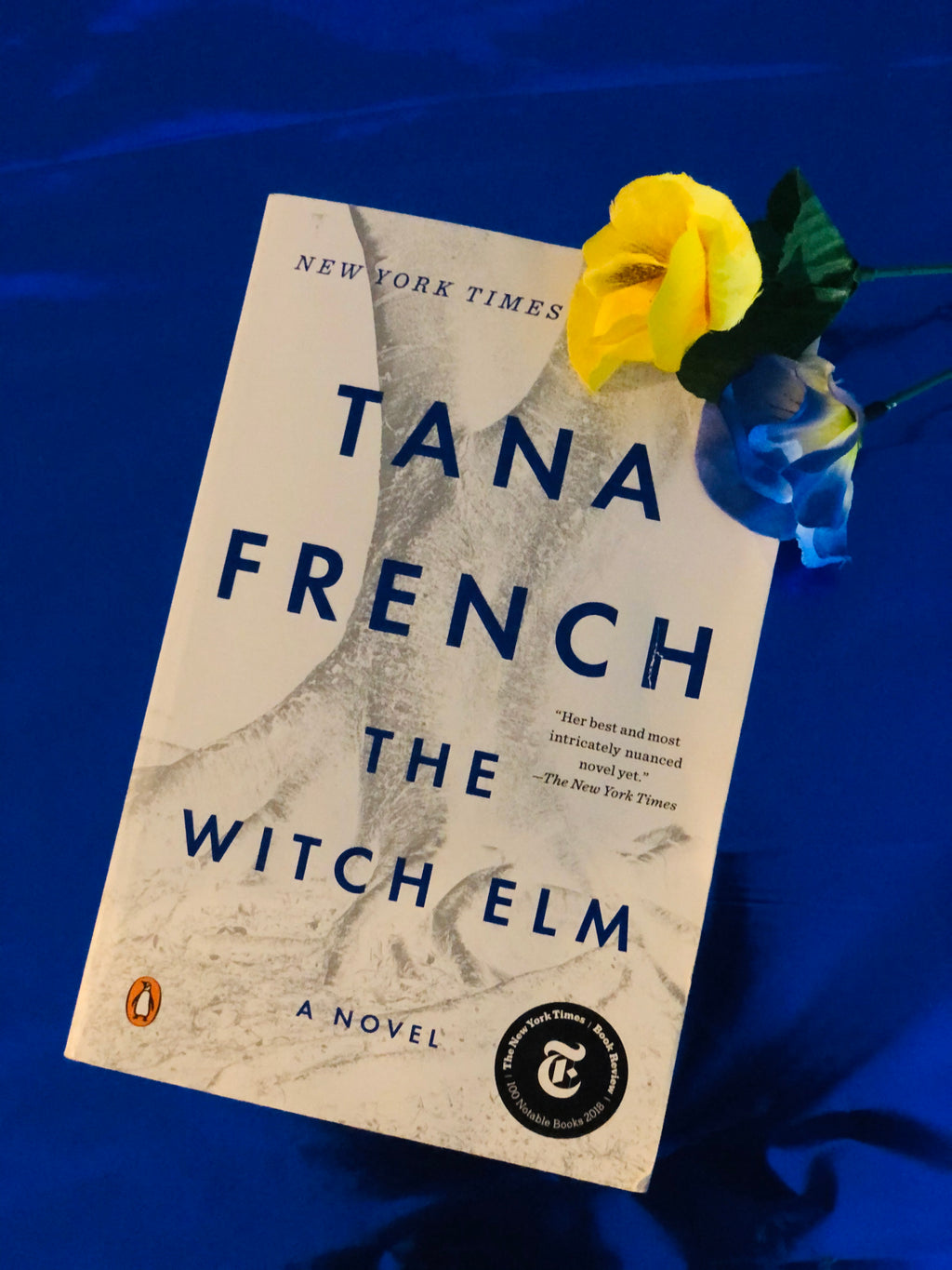 The Witch Elm- By Tana French