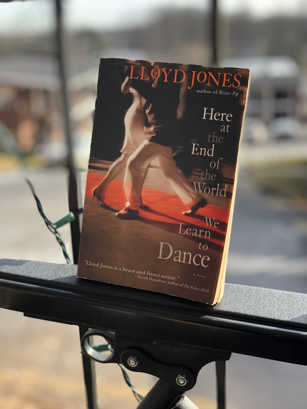 Here at the End of the World We Learn to Dance- By Lloyd Jones