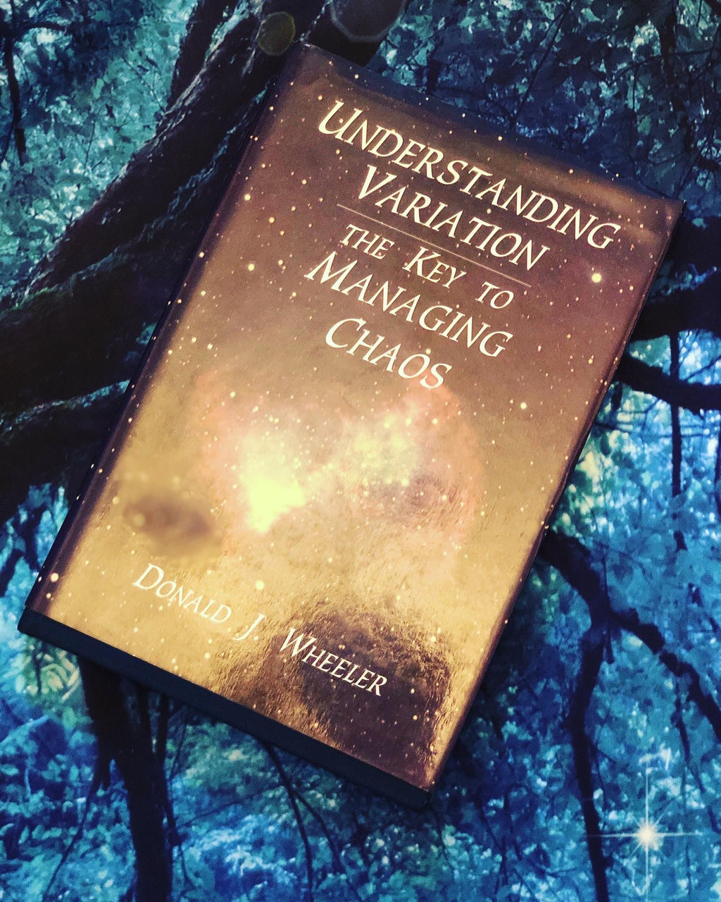 Understanding Variation: The key to Managing Chaos- By Donald J. Wheeler