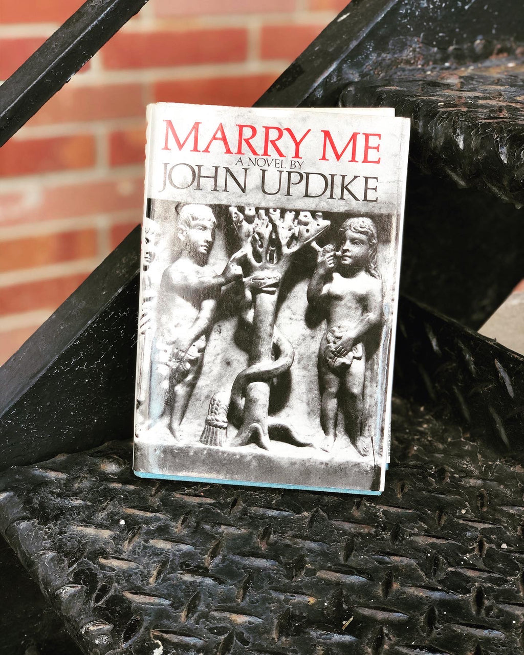 Marry Me- By John Updike