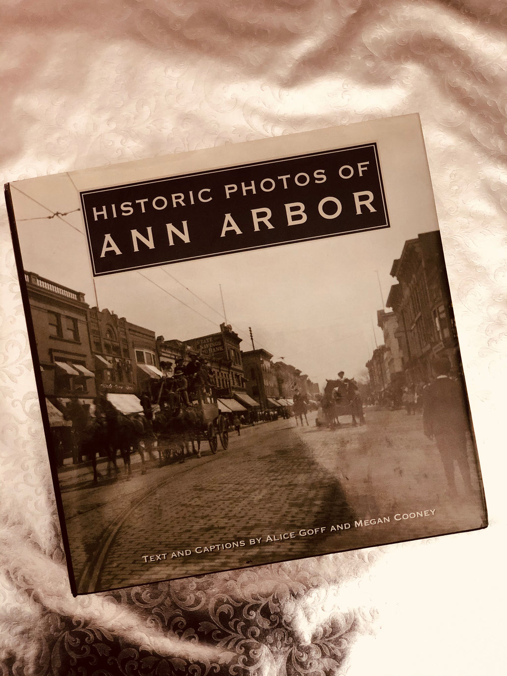 Historic Photos of Ann Arbor- By Alice Goff and Megan Cooney
