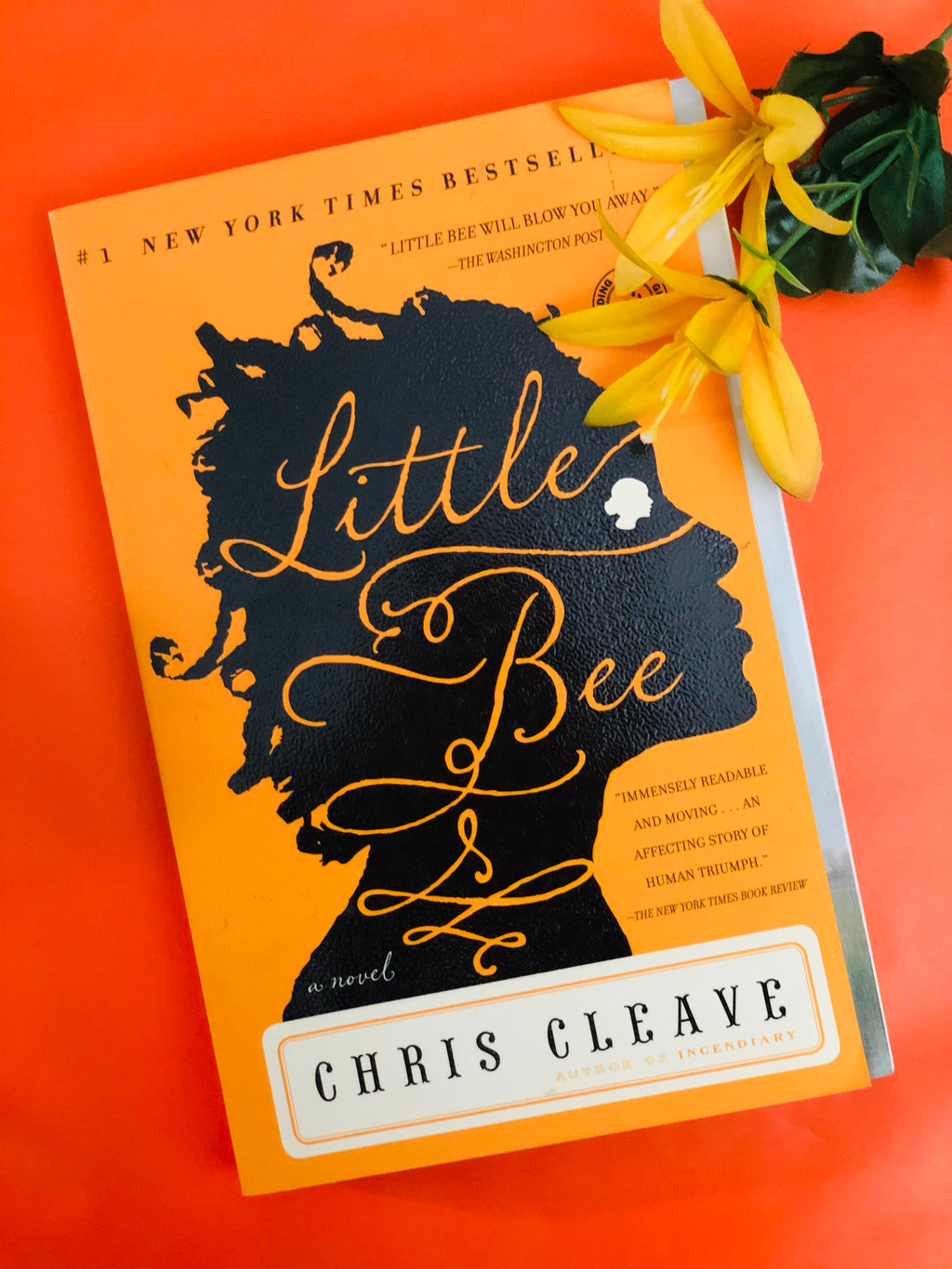 Little Bee- By Chris Cleave