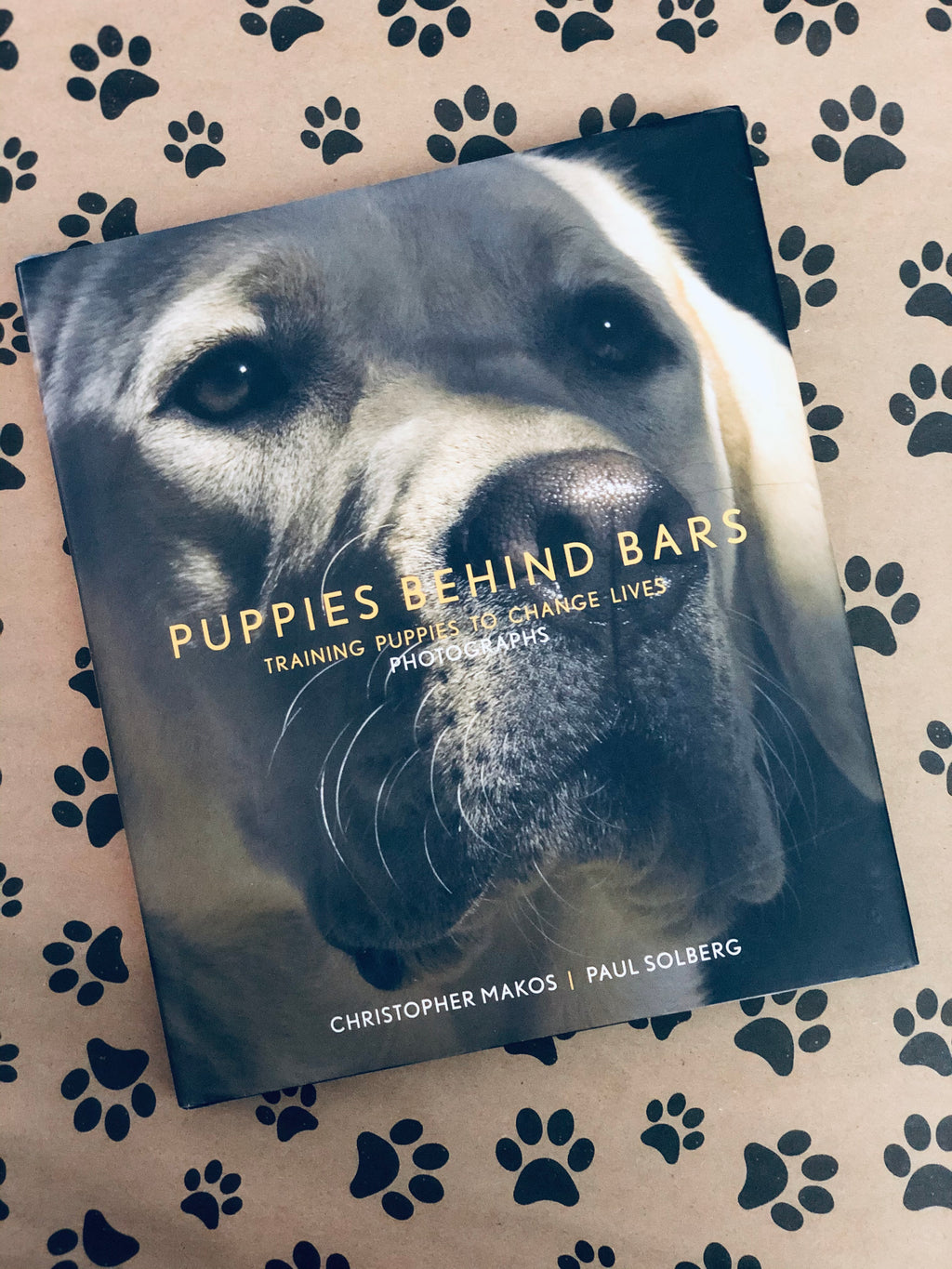 Puppies Behind Bars- By Christopher & Paul Solberg
