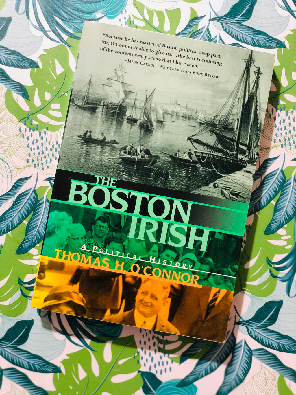 The Boston Irish: A Political History- By Thomas H. O'Connor