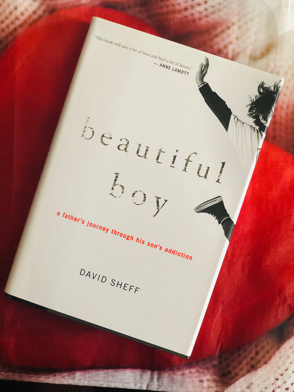 Beautiful Boy- By David Sheff
