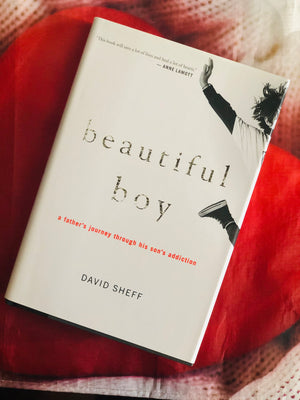 Beautiful Boy- By David Sheff