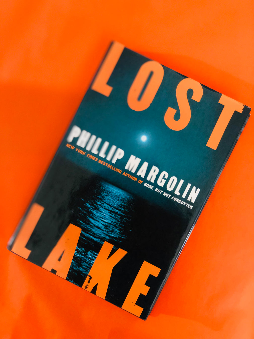 Lost Lake- By Phillip Margolin