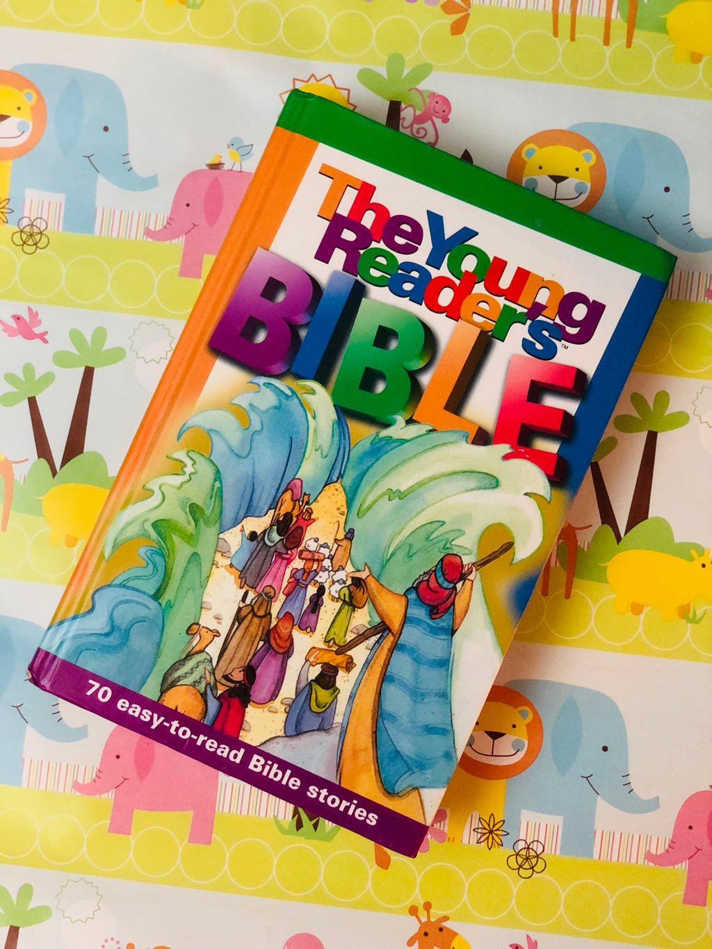 The Young Reader's Bible: 70- Easy to Read Bible Stories