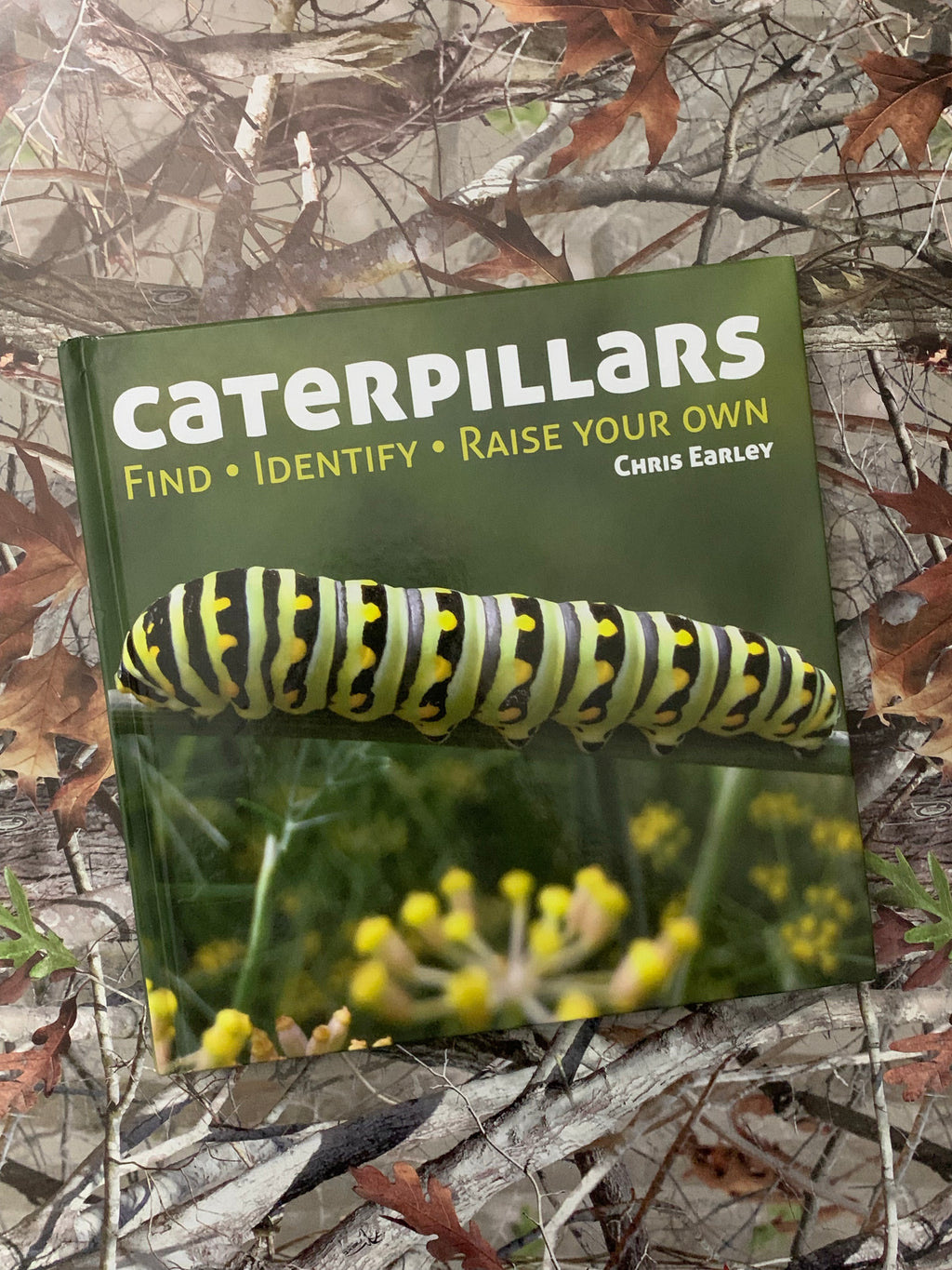 Caterpillars: Find, Identify, Raise Your Own- By Chris Early