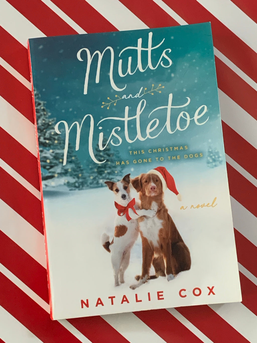 Mutts Mistletoe- By Natalie Cox