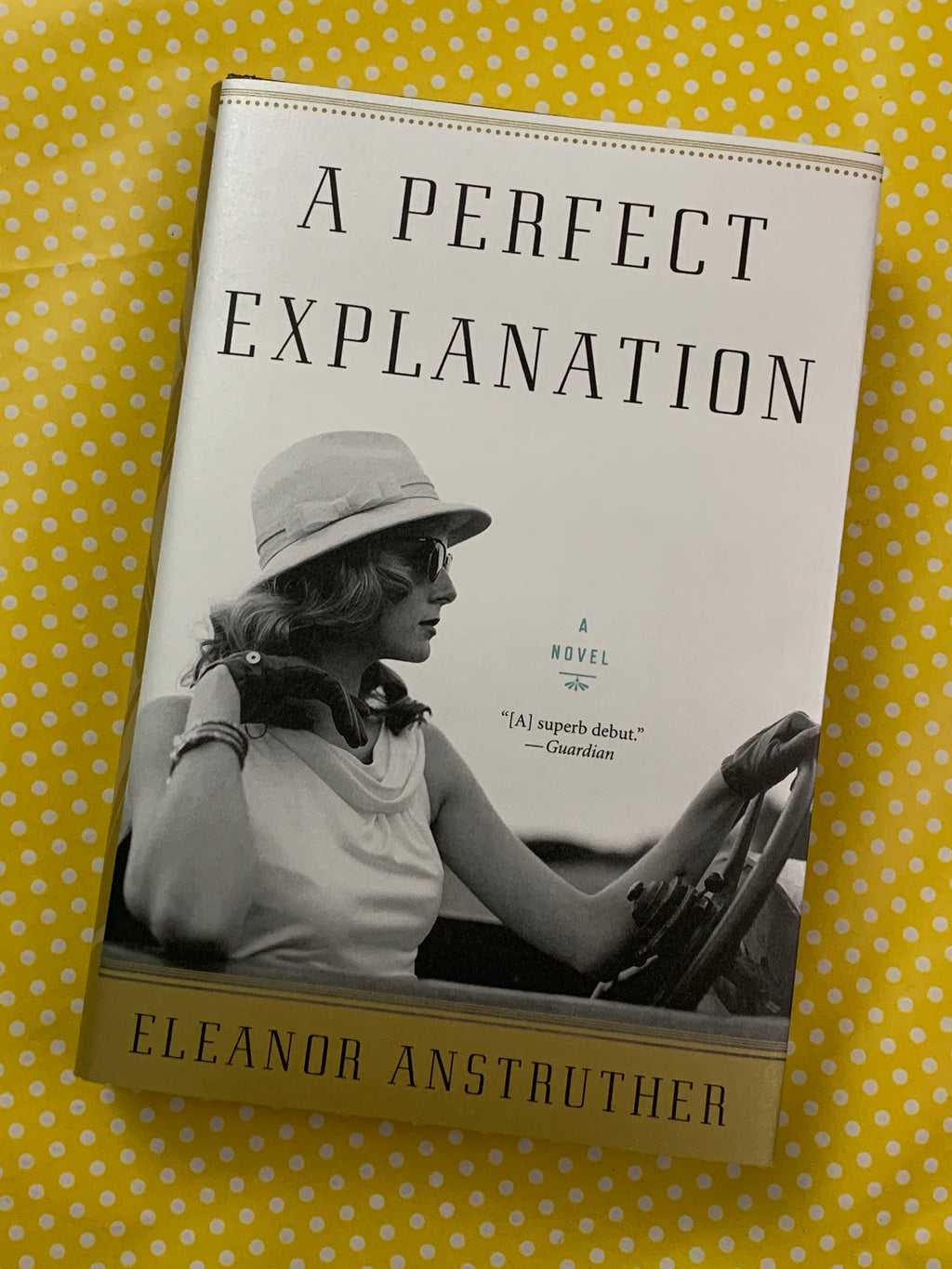 A Perfect Explanation- By Eleanor Anstruther