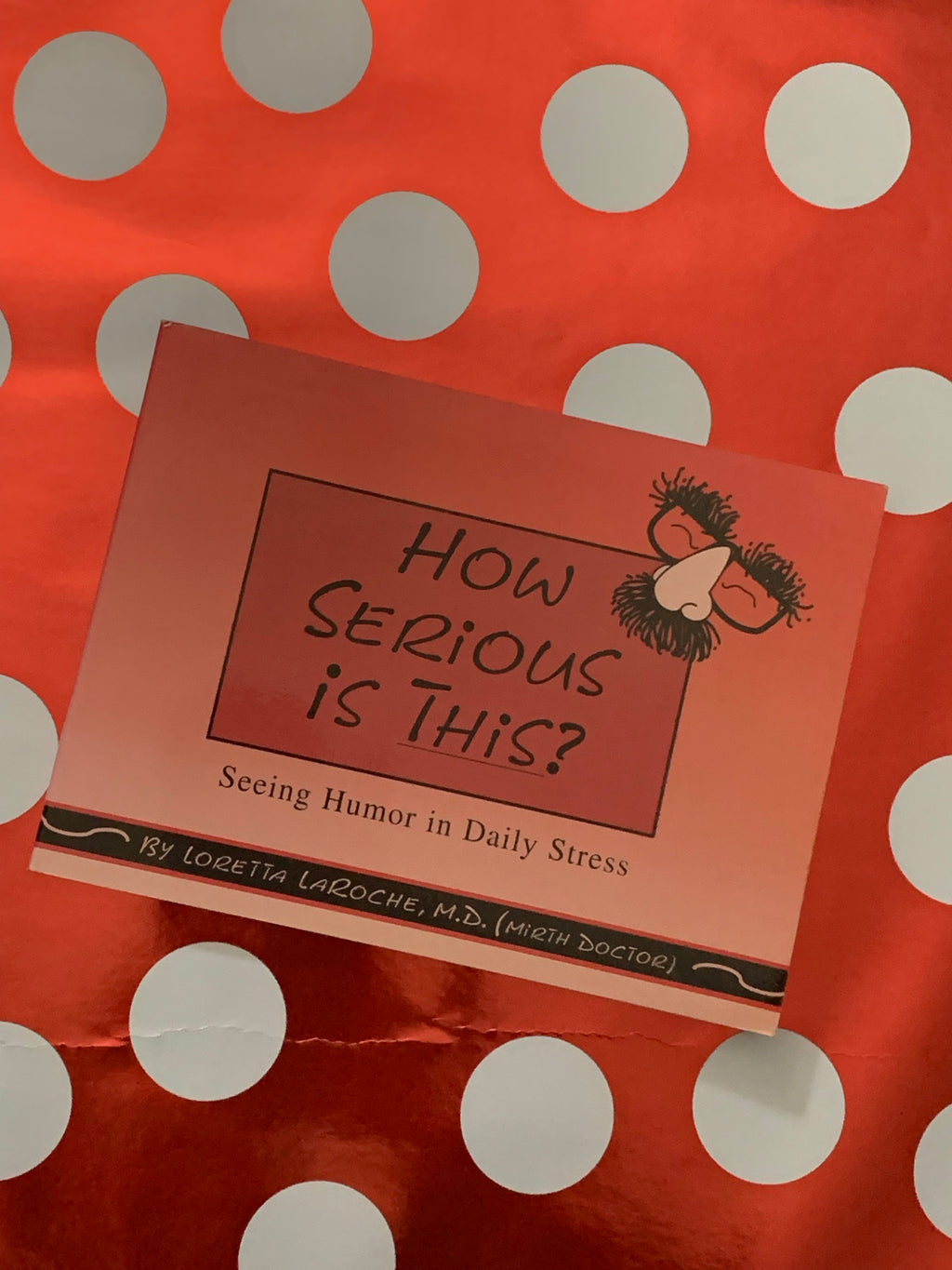 How Serious is This? Seeing Humor in Daily Stress- By Loretta LaRoche, M.D.