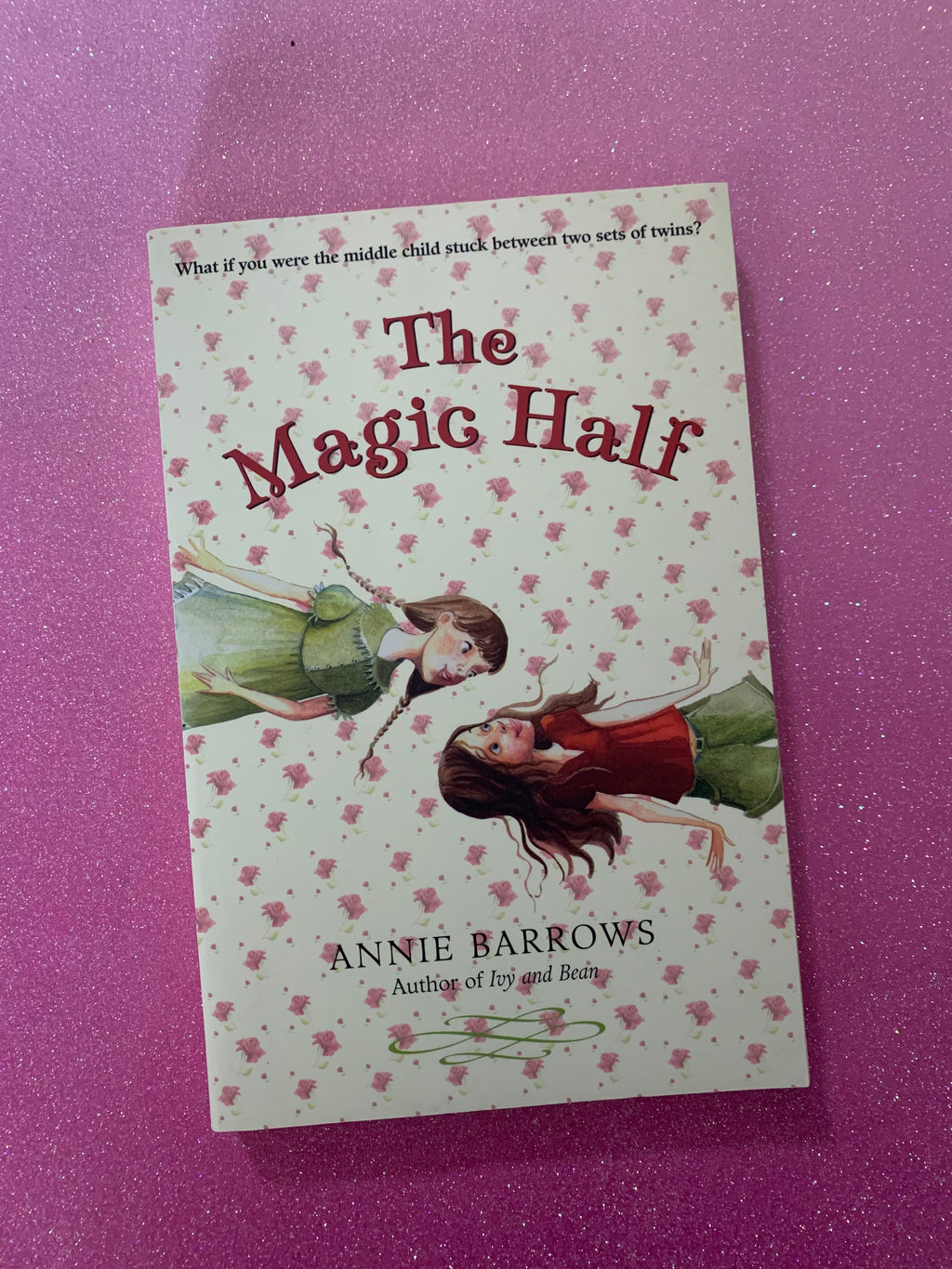 The Magic Half- By Annie Barrows
