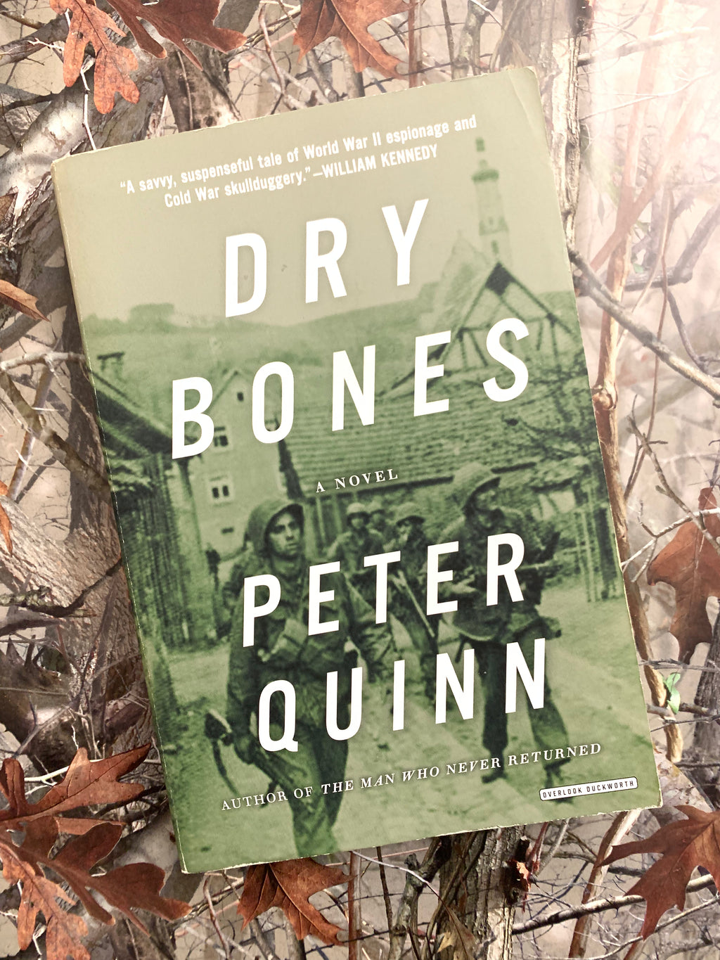 Dry Bones- By Peter Quinn