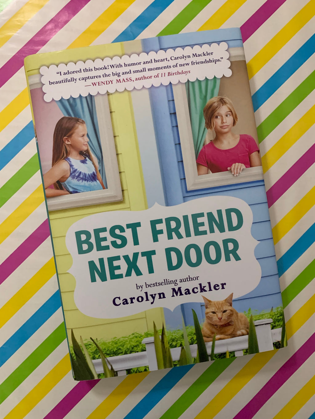 Best Friend Next Door- By Carolyn Mackler