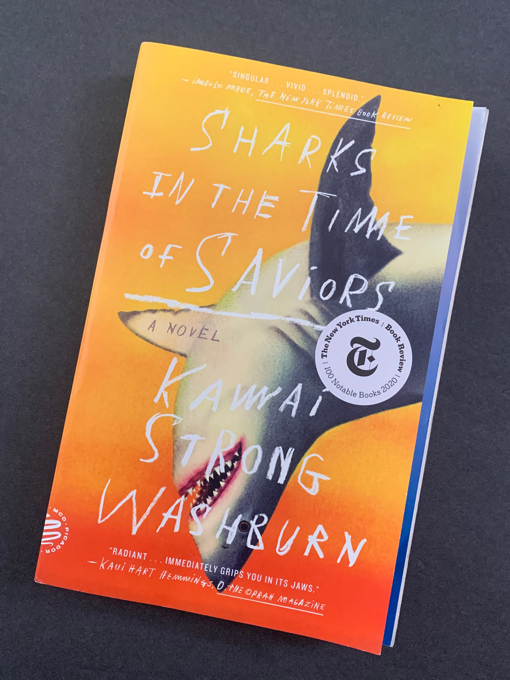 Sharks in the Time of Saviors- By Kawai Strong Washburn