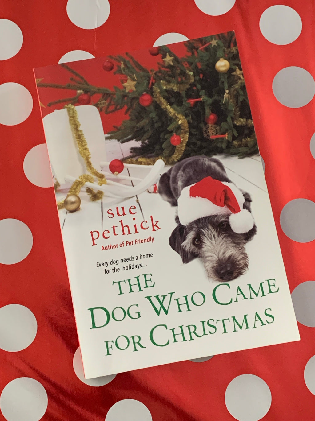 The Dog Who Came for Christmas- By Sue Pethick