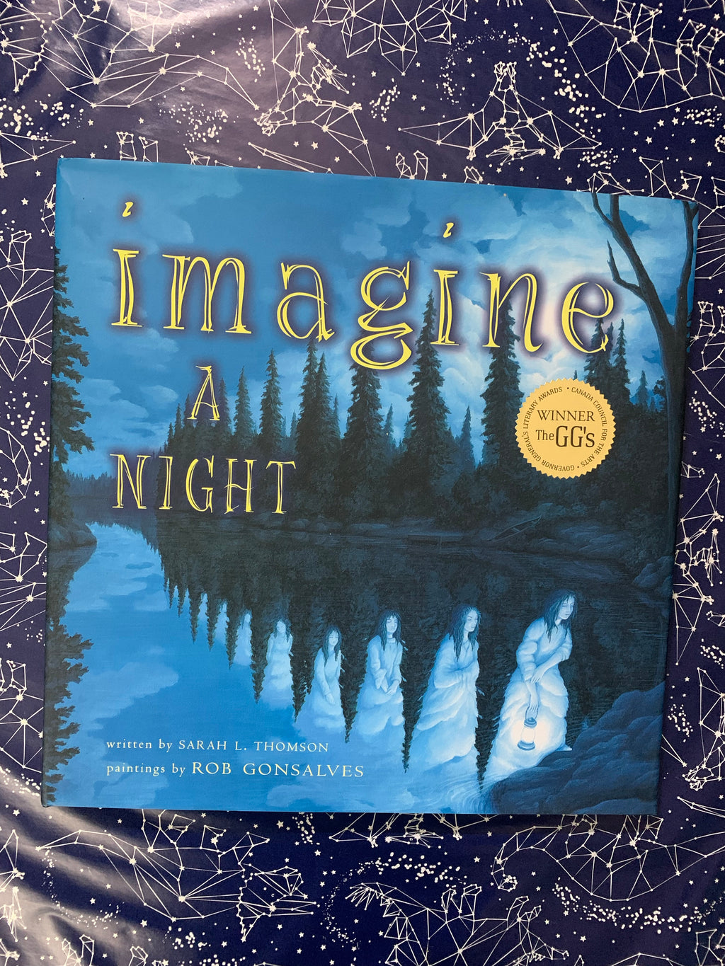 Imagine a Night- By Sarah L. Thomson