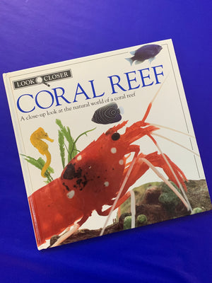 Look Closer: Coral Reef