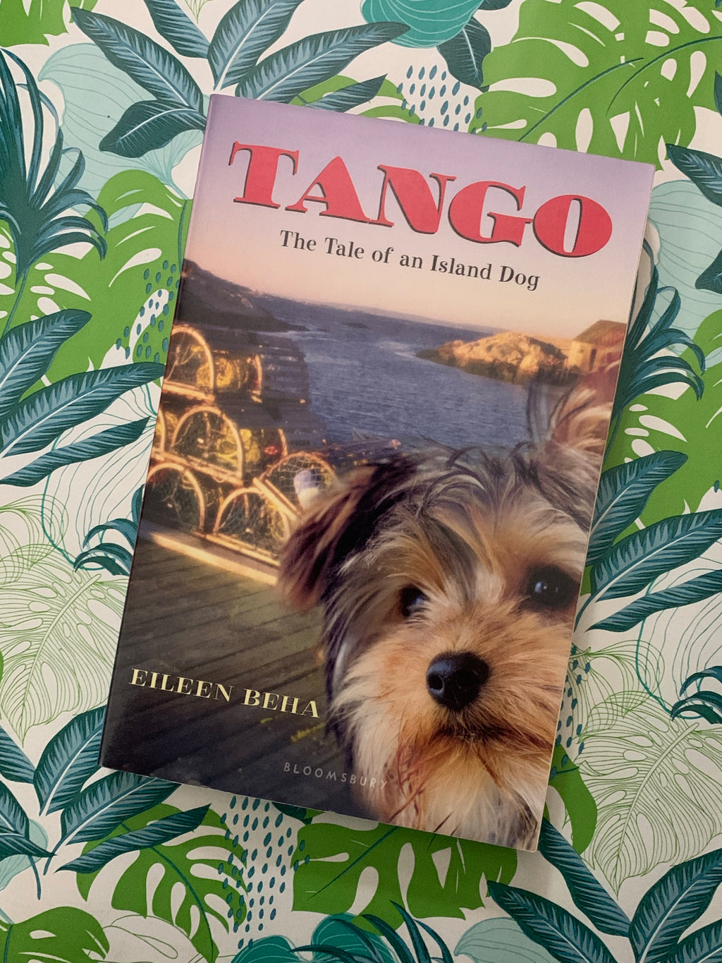 Tango: The Tale of an Island Dog- By Eileen Beha