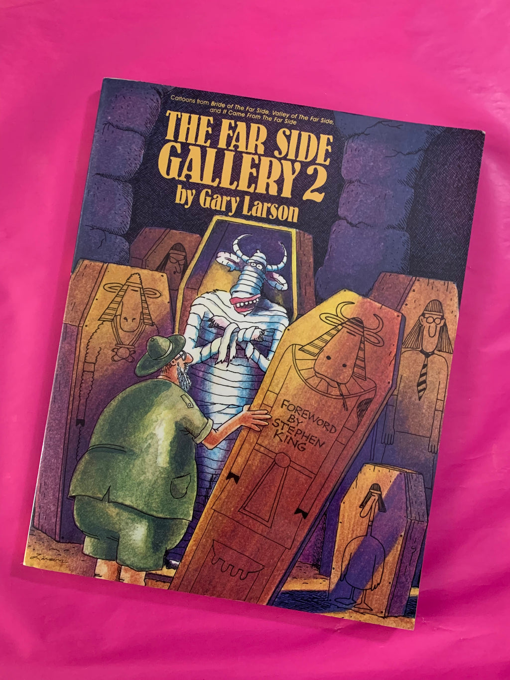 The Far Side Gallery 2- By Gary Larson