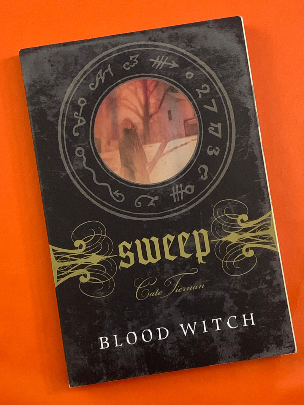 Sweep #3: Blood Witch- By Cate Tiernan