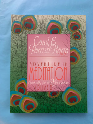 Adventure in Meditation: Spirituality for the 21st Century (Volume III)- By Carol E Parrish- Harra PhD