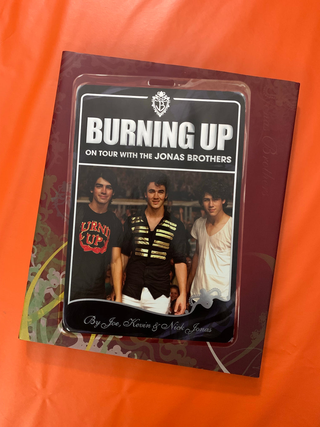 Burning Up: On Tour with the Jonas Brothers