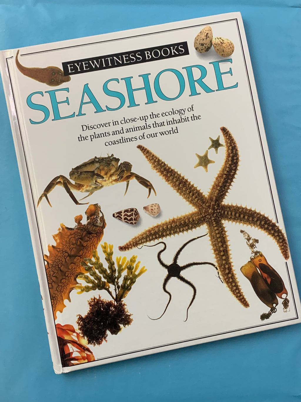 Eyewitness Books: Seashore