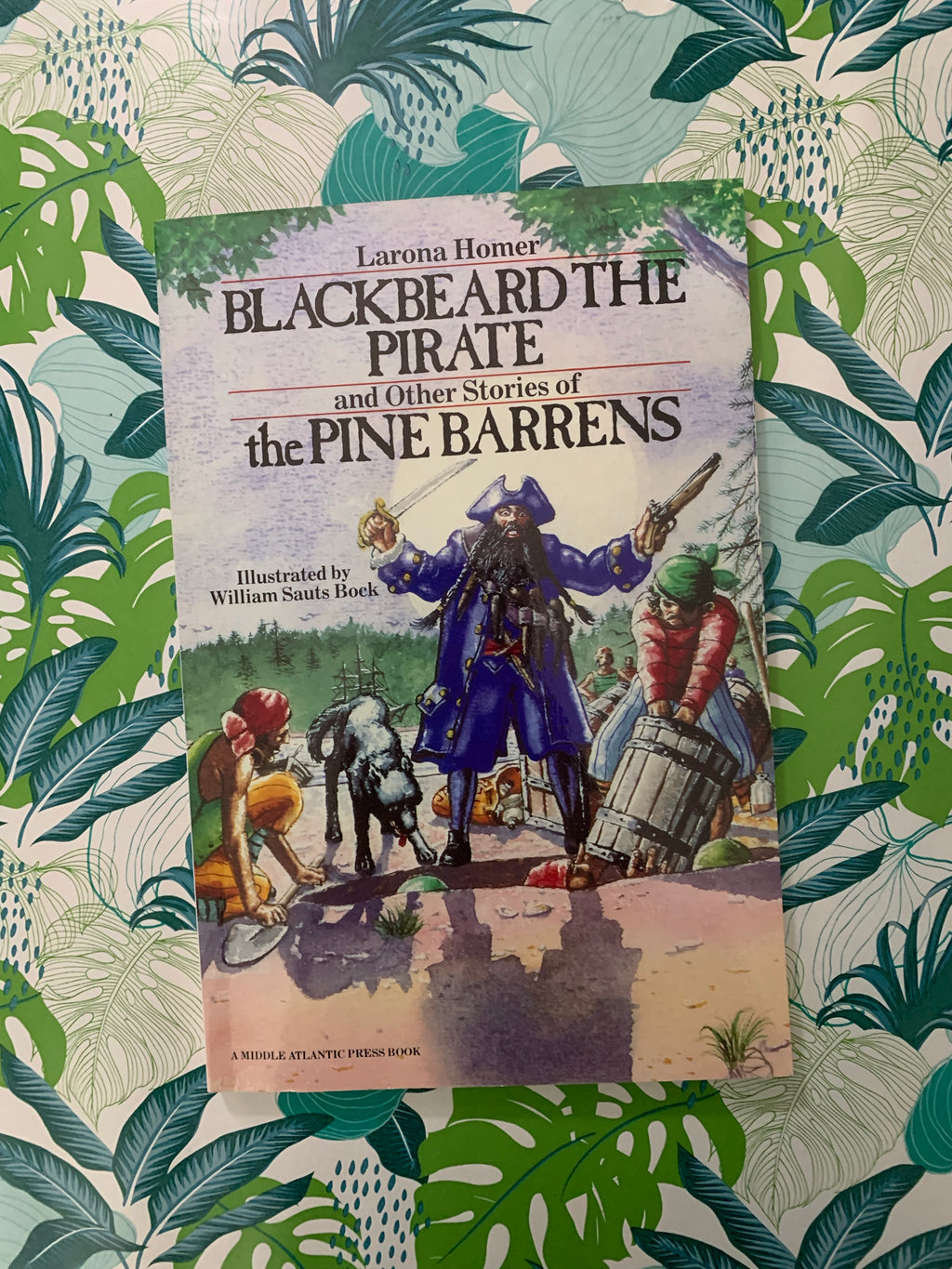 Blackbeard the Pirate and Other Stories of the Pine Barrens- By Larona Homer